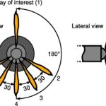 Introduction to Experimental Cells for Diesel Spray Research