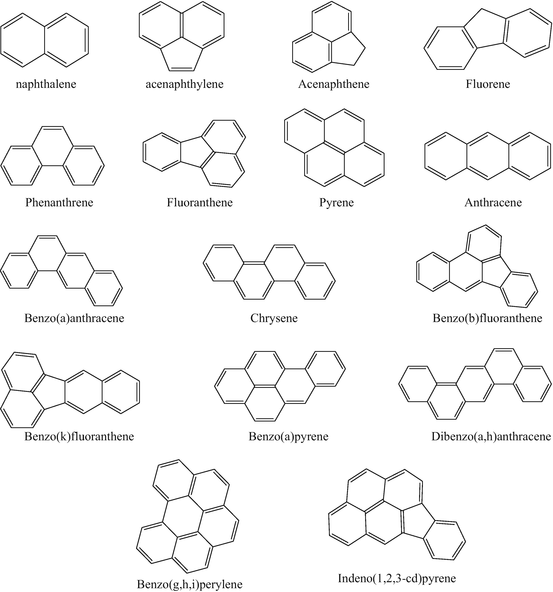 Introduction to Analytical Methodologies for the Control of Particle-Phase Polycyclic Aromatic Compounds from Diesel Engine Exhaust