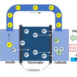 How Fuel Cells Work