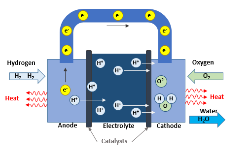 How Fuel Cells Work
