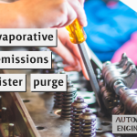 Evaporative emissions canister purge