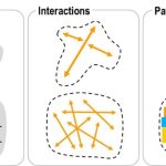 Spatial Form, Pattern and Interaction