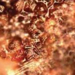 Determining the Cause of Oil Degradation